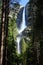 Yosemite Falls and Forest