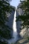 Yosemite Falls â€“ Framed by Forest