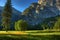 Yosemite meadow morning