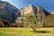 Yosemite meadow with tree