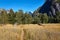 Yosemite National Park Bridalveil Water falls in the early autumn months