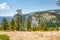 Yosemite national park forest hiking trails. Beautiful National Park forest view