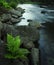 Yosemite National Park stream with plant