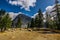 Yosemite  National Park in the Tuolumne  Meadows area