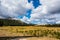 Yosemite  National Park in the Tuolumne  Meadows area