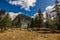 Yosemite  National Park in the Tuolumne  Meadows area