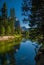 Yosemite Reflection