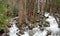 Yosemite river with trees and rocks