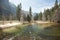 Yosemite Valley River on Spring Day