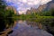 Yosemite Valley View