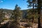 Yosemite Valley View