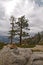 Yosemite Valley in the western Sierra Nevada mountains of California