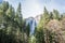 Yosemite Waterfalls behind Sequoias in Yosemite National Park, California