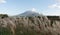 Yoteii mountain with grass in foreground