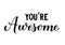 You are Awesome calligraphy hand lettering isolated on white. Inspirational quote typography poster. Vector template for banner,