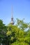 You can see the TV tower in the city center of Berlin. This landmark of Berlin towers between treetops in the blue sky