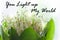 You light up my world text sign. Blooming Lilies of the valley green leaves. Blurred bokeh lights flowers background