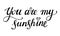 You are my sunshine. Hand drawn lettering phrase. Compliment declaration of love. Black calligraphic text for valentines