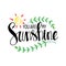 You are my sunshine hand lettering.