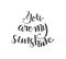 You are my Sunshine. Positive quote handwritten with brush typography. Inspirational and motivational phrase.