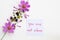 You are not alone message card handwriting with pink  flowers cosmos arrangement flat lay postcard style