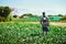 You reap what you sow in life. Full length shot of a young farmer walking and carrying a crate full of fresh produce at