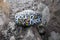 You rock message on painted kindness rock on top of stone rubble