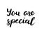 You are special text. Brush calligraphy.