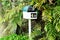 You\'ve got mail. Mailbox mailbox letter box letterbox surrounded by green ferns with mail junk mail.