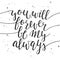 You will be forever be my always, modern ink brush calligraphy.