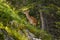 Yound deer on the slope at Switzerland mountains