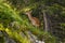 Yound deer on the slope at Switzerland mountains