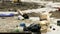 Young activist cleaning ruined beach