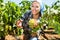 Young admiring woman picking ripe grapes on vineyard