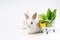 young adorable white rabbit with green lettuce in a shopping cart isolated on white background with copy space