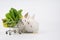 Young adorable white rabbits with green lettuce in a shopping cart isolated on white background