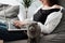 Young Adult Girl Working at Laptop from Home and Plays with Her Little Scottish Fold Cat, Concept of Remote Work, Freelance