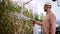 Young adult man watering the ivy vertical wall at the rooftop garden on summer day
