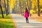 Young adult woman in bright casual coat walking along beautiful golden colored autumn park alley. Happy attractive sporty girl in