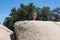 Young adult woman hiker stands on top of a giant boulder rock in San Diego California