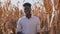 Young african american agronomist farmer standing in the middle of a corn field and smiling