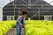 Young African American farmer worker inspects organic hydroponic plants with care and smiles happily: