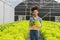 Young African American farmer worker inspects organic hydroponic plants with care and smiles happily: