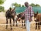 Young african american male proffesional farmer feeding donkeys