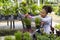 Young African customer is choosing exotic plant from the local garden center nursery with shopping cart full of summer plant for