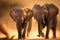 Young African elephants racing toward the water, stirring up dust in the late afternoon sun, AI generated