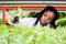 Young African female biologist taking green seedling from shelf in greenhouse