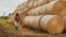 Young african man, farmer working on tablet in front of the hay roll stack. Smart farming concept, wide angle