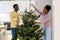Young afro couple install fresh pine at home for new year and christmas celebration in own apartment