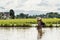 Young agriculturist fishing in swamp